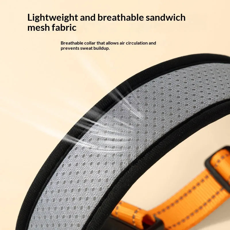 Acrylic pet collar with colour grid pattern in orange, blue or red, available in sizes XS to L for neck 28-58cm
