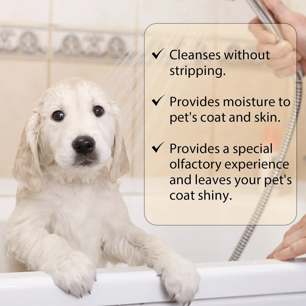 Mild pet shampoo bottle for dogs and cats in 100ml and 300ml sizes