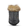 Leather dog coat with fur collar in British style, shown in black and wine red colour options