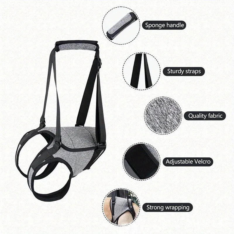 Grey neoprene recovery belt for injured dog rear legs showing waist and thigh support areas