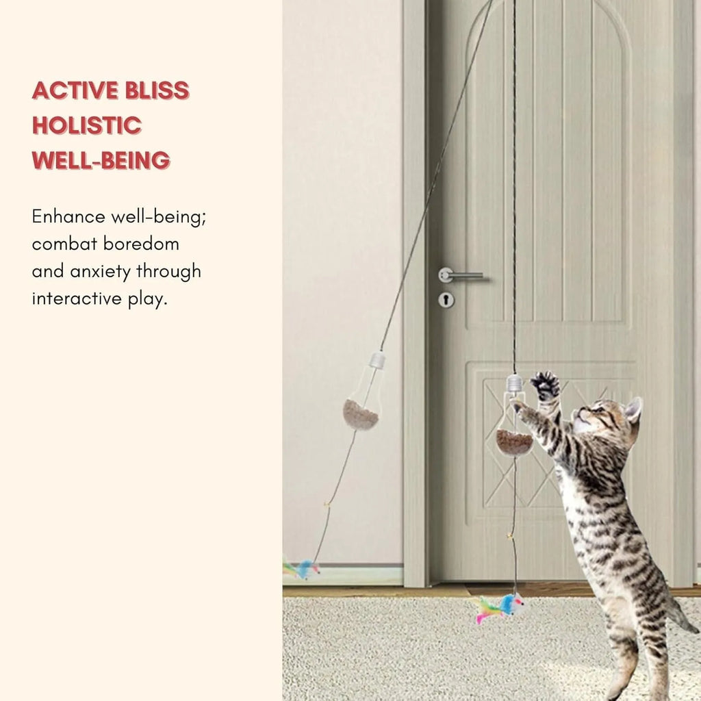 Interactive cat toy hanging on door frame with retractable rope, swinging attachments and treat reward bulb