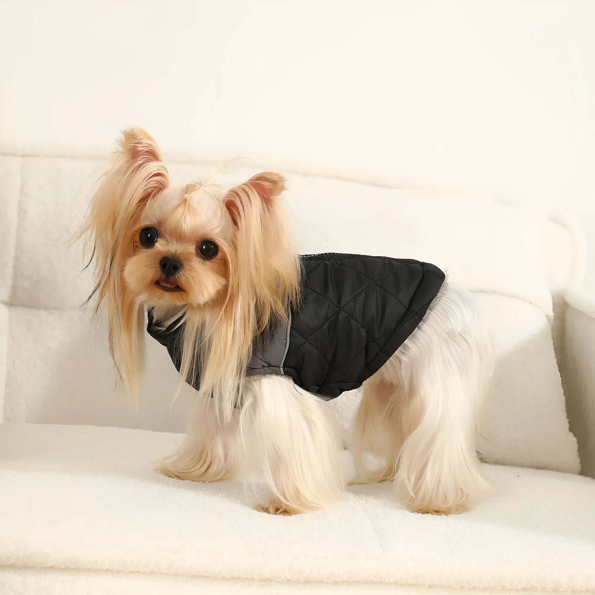 Cotton-padded pet ski suit in contrast colour diamond plaid, waterproof polyester, black grey or red grey, sizes XS-XL