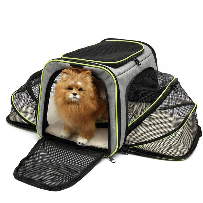 600D cation fabric cat carrier bag in black with red piping, showing medium-soft construction and large capacity design