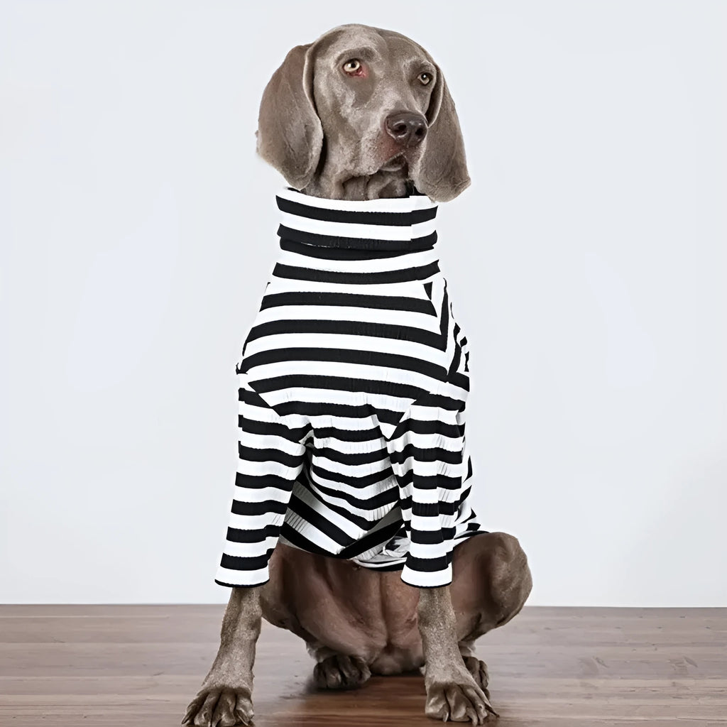 Large breed dog clothing with thin inner lining in black and white colour options