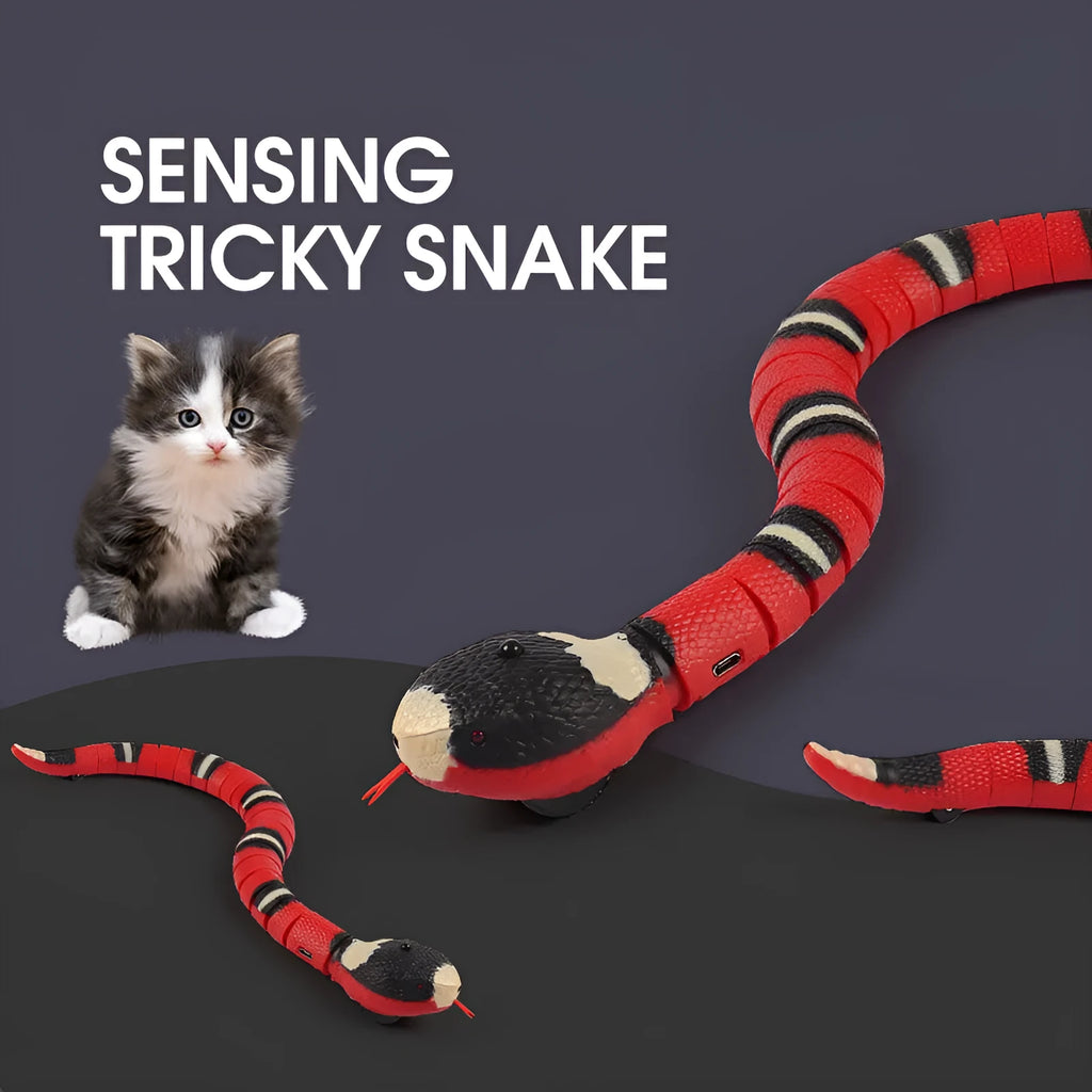 USB rechargeable automatic electronic snake cat toy with segmented plastic body on floor.