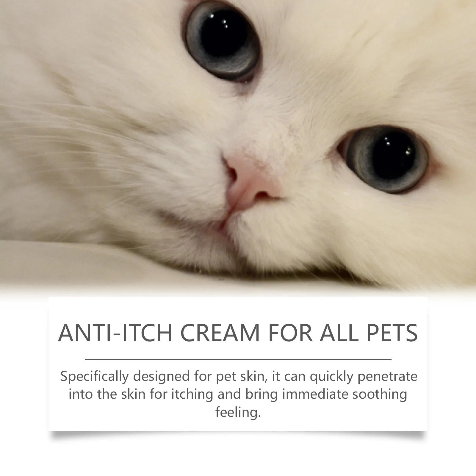 60g tube of antipruritic cream for cats on a white background