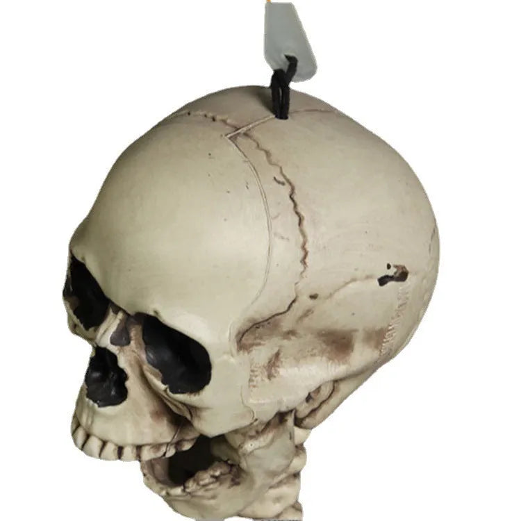 Full size 170cm plastic skeleton prop standing for Halloween decoration display