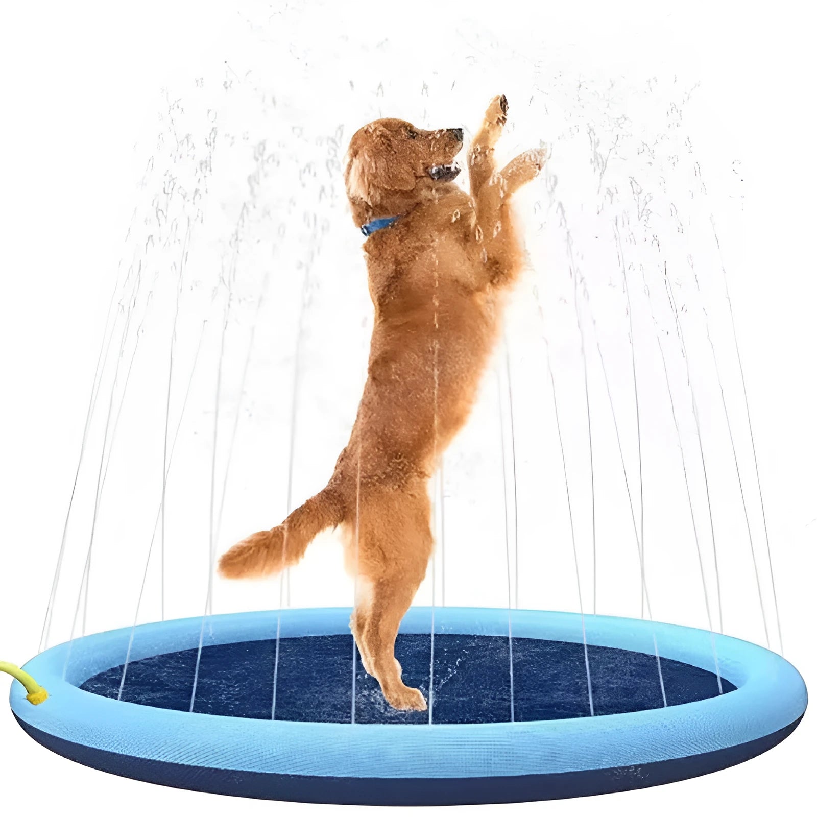 Large inflatable anti-slip dog sprinkler mat splash pad with water jets spraying, shown in a garden.