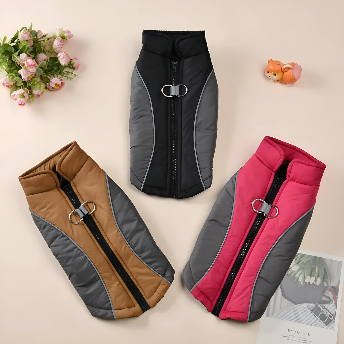 Reflective polyester pet coat in contrast colours, sizes XS to 2XL, for autumn and winter walks.
