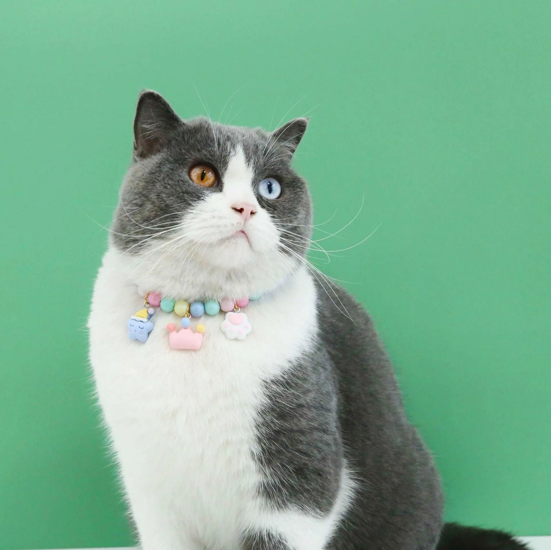 Colourful resin necklace collar and bracelet set for a dog, showing macaron-themed rabbit and moon charms.