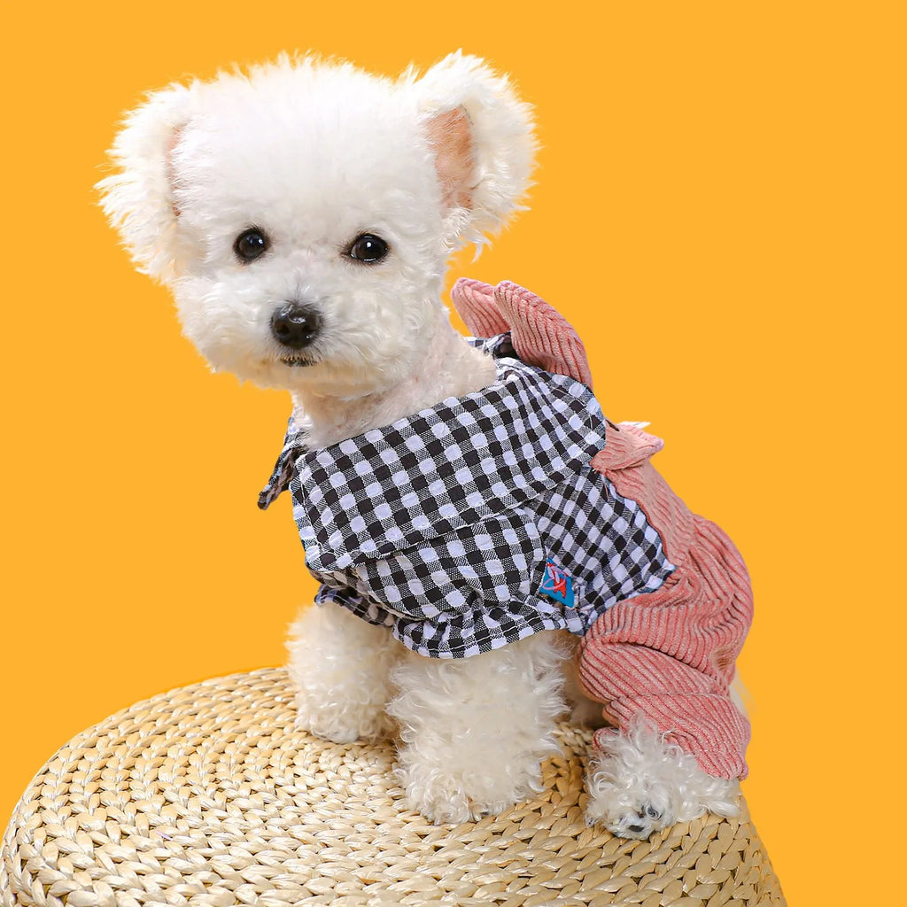 Four-legged plaid overalls for pets in polyester, black grid top, shown on a dog indoors