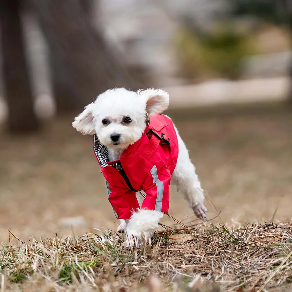 Pet waterproof raincoat in khaki with reflective details, polyester fabric, sized for dogs XS to 2XL