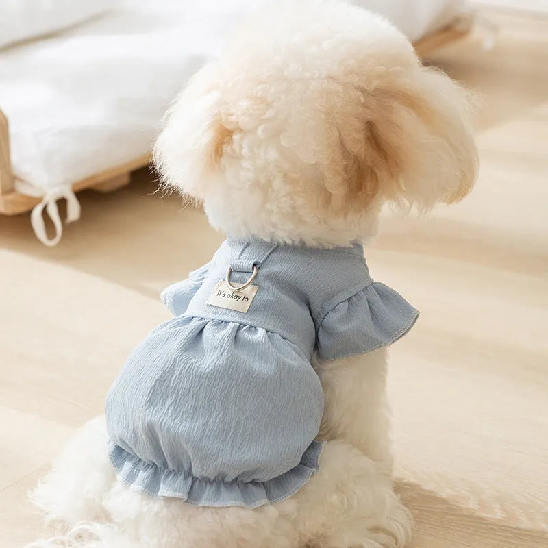 Solid colour polyester dog vest with flying sleeves in Bondi Blue on a small dog
