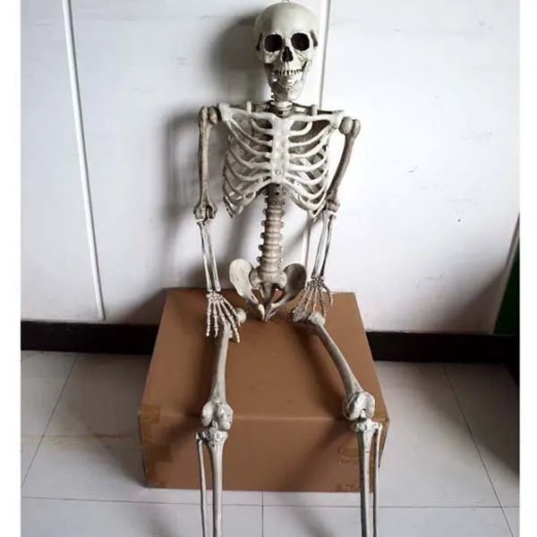 Full size 170cm plastic skeleton prop standing for Halloween decoration display