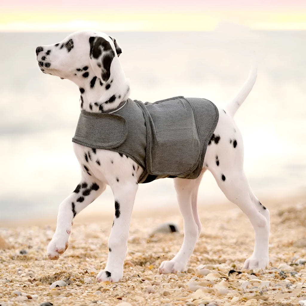 Heather Gray dog anxiety jacket warm vest in brocade cotton ponte-de-roma material