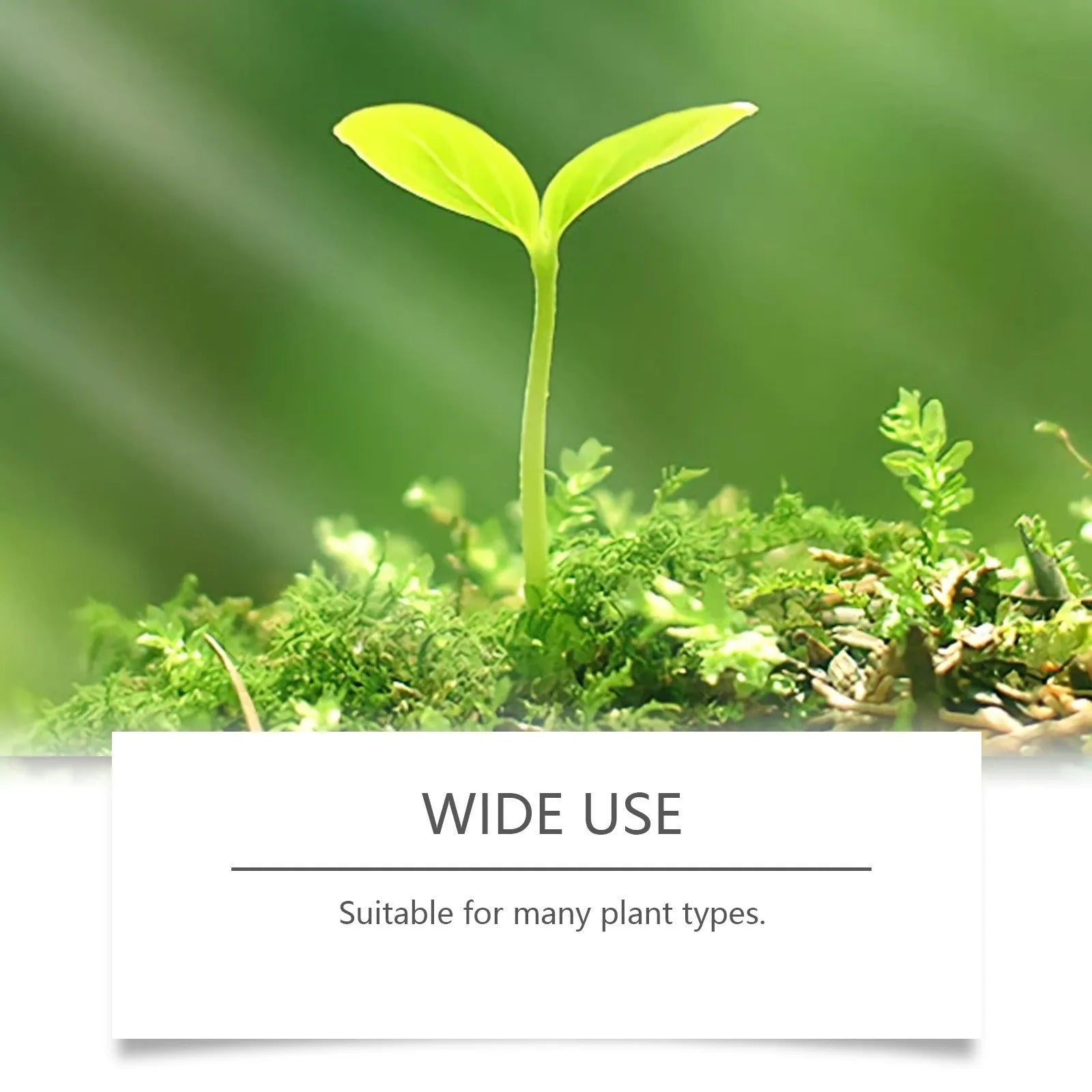 Plant Growth Boost 120ml plant nutrition spray bottle for foliar feeding indoor and outdoor plants
