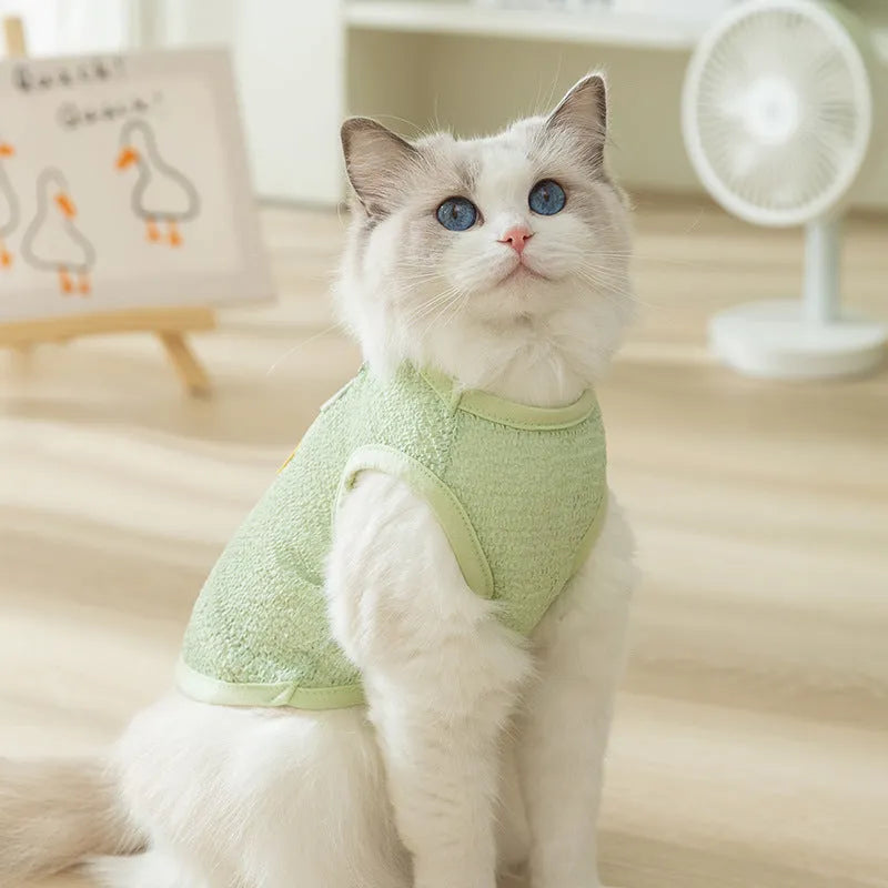 Bear patch cat clothing in hollowed-out knitted fabric shown in blue, green and yellow colours