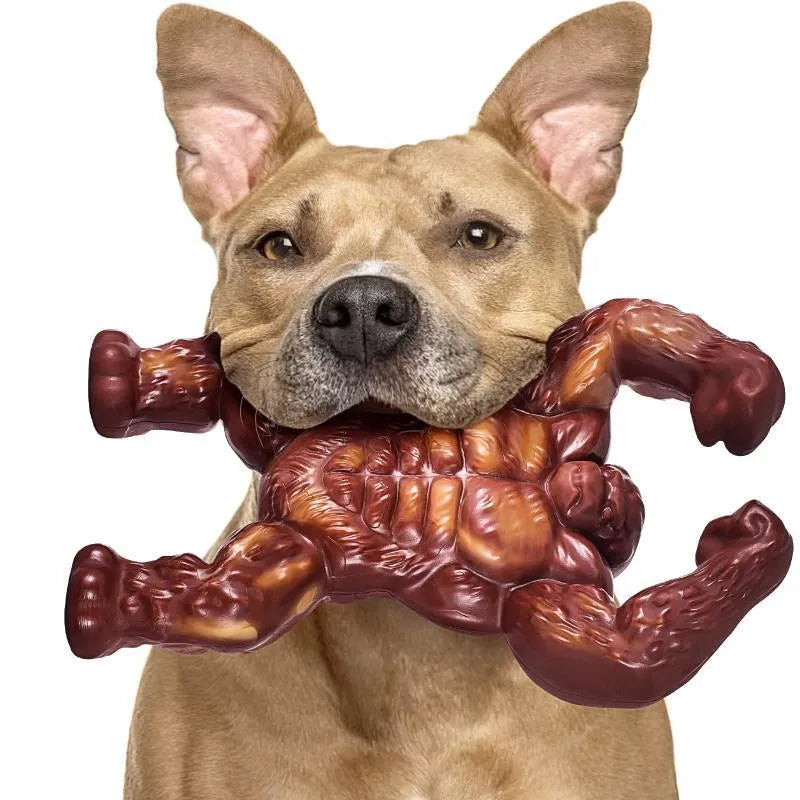 Scarlet nylon dog molar nibbling toy with beef flavour and textured grooves for dental care