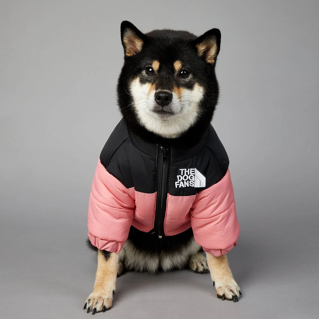Windproof and rainproof polyester dog winter coat in dark green, available in multiple sizes