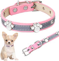 Reflective adjustable leather dog collar with cute paw rivet on a grey background.