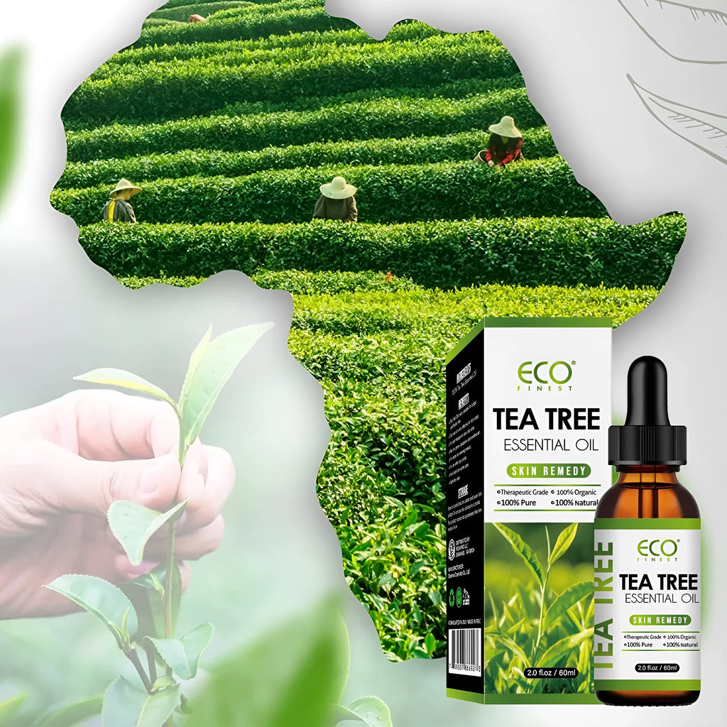 60ml glass bottle of tea tree essential oil with dropper for skincare and massage use