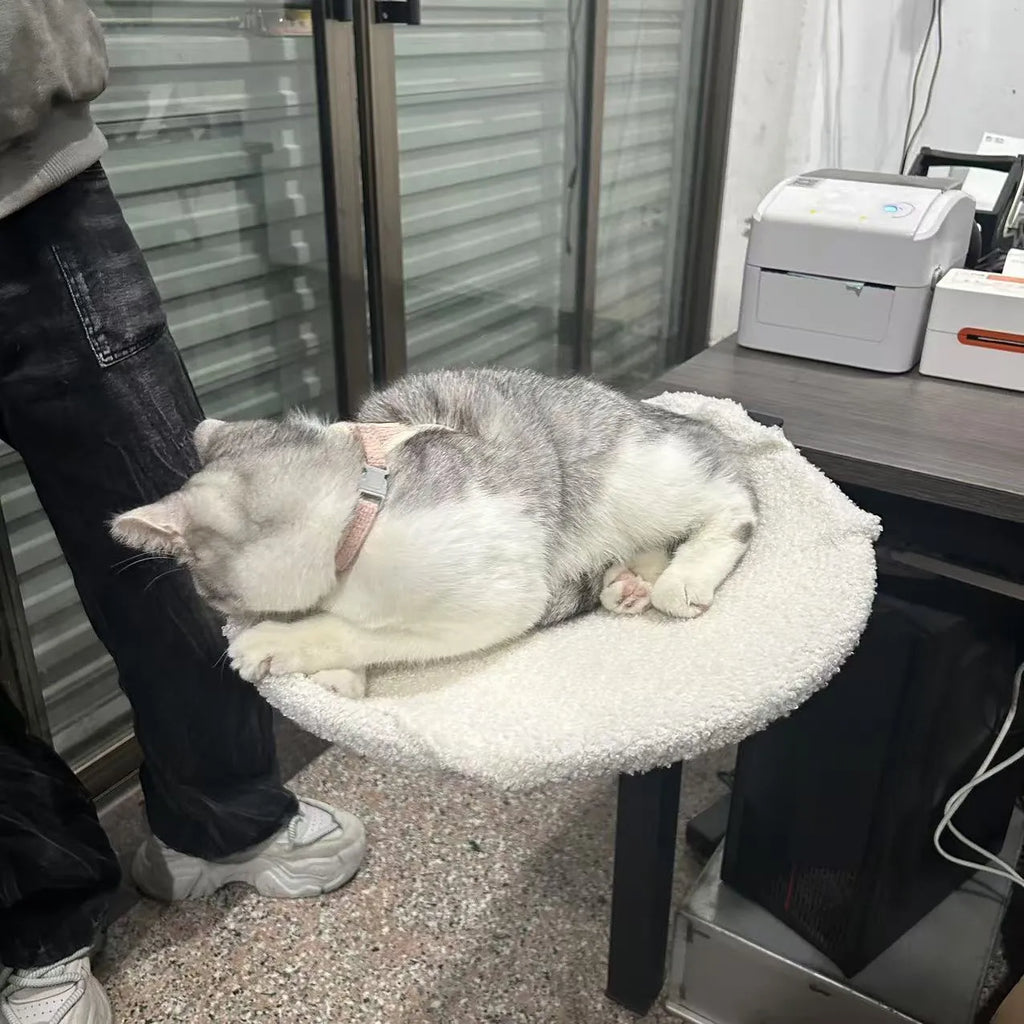 Portable iron cat nest with metal rack, disassembly design for indoor cats
