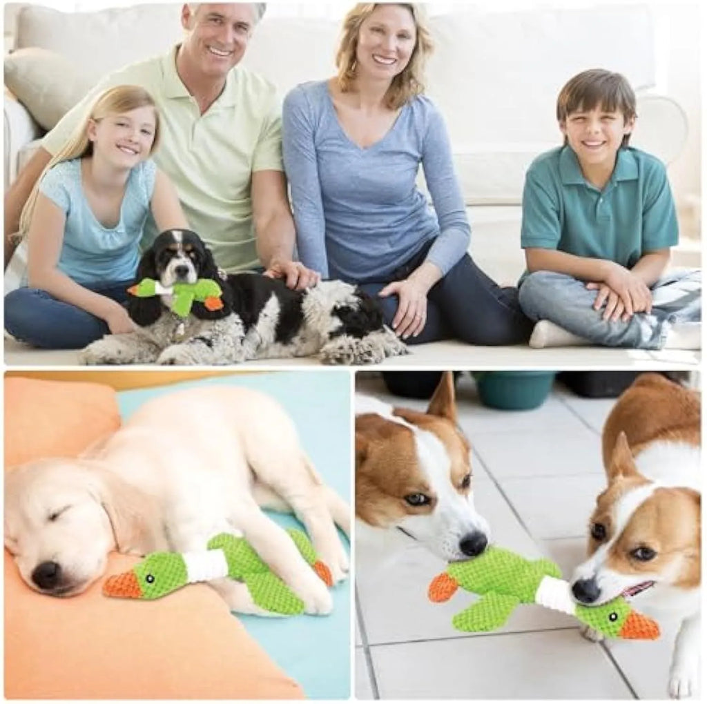 Blue, green, or grey plush duck dog toy with two squeakers for large dogs.