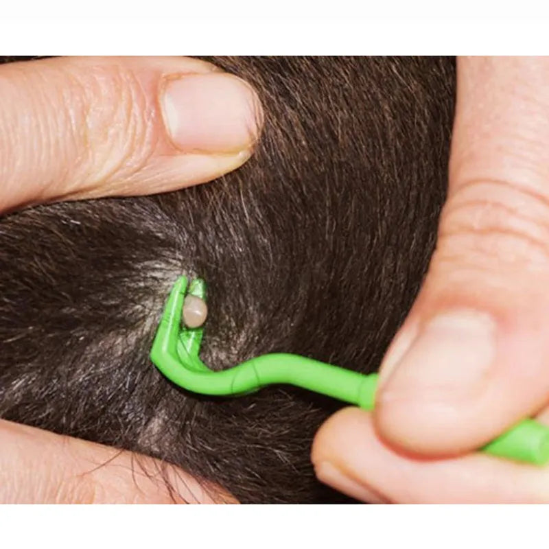 Three plastic tick removal clips in blue and green colours for pet grooming