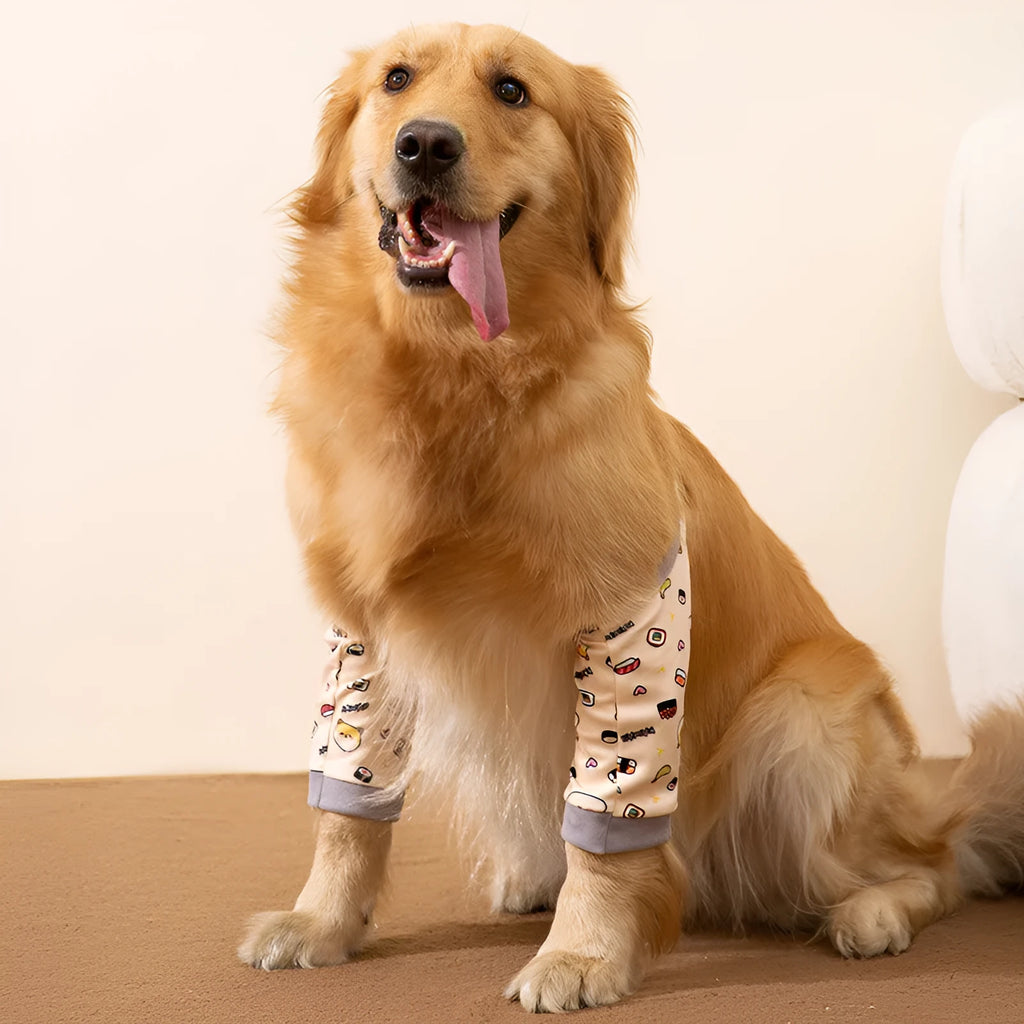Adjustable dog knee protector guard with thick elbow pad and matching scarf in blue, on a medium-sized dog.