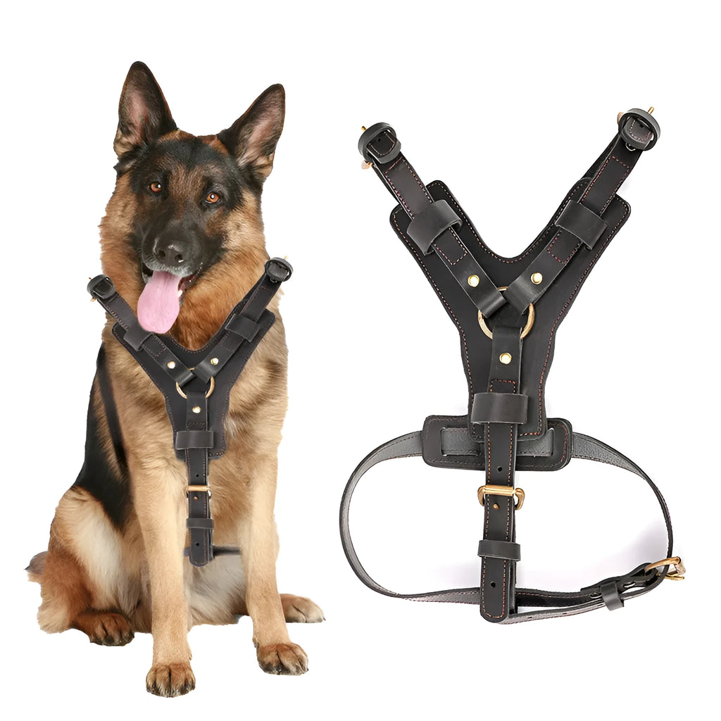 Cowhide leather dog chest harness set in black with automatic traction rope for small and large breeds