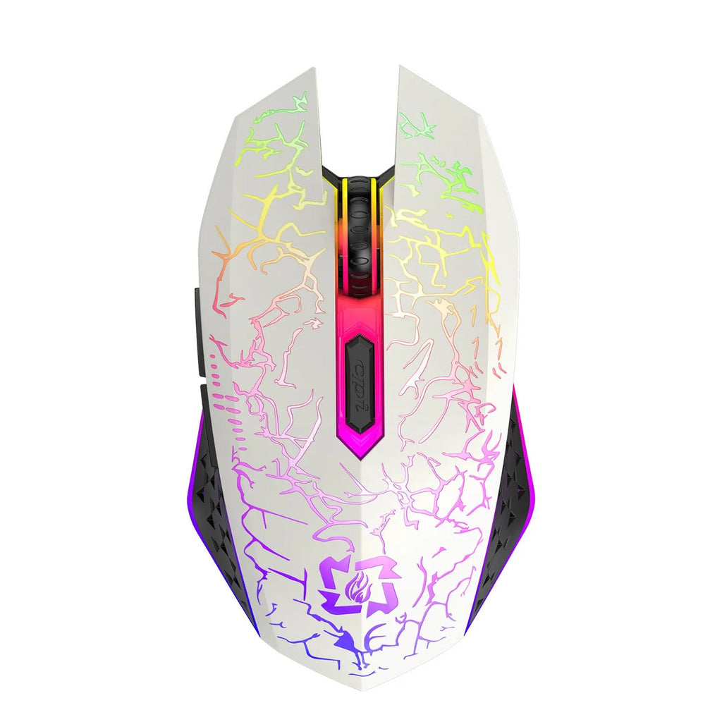 Black and white wireless gaming mouse with RGB lighting, shown with charging cable