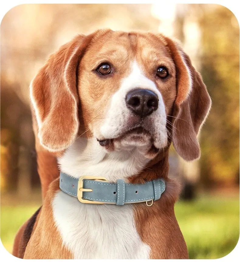 Reversible blue leather and mohair dog collar and lead set shown on both sides.