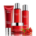 Pomegranate skin care set with four products in red packaging for moisturising and oil control
