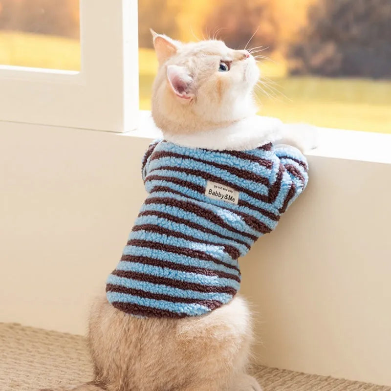 Soft plush blue-brown striped pet shirt button-down front on small dog warm winter fleece puppy sweater