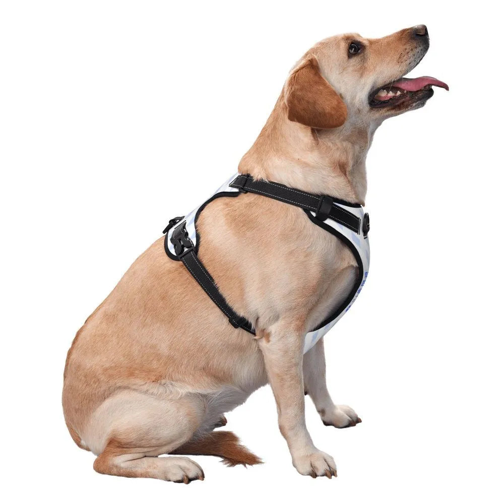 Durable oxford cloth pet leash vest with reflective webbing and DTG print, suitable for outdoor dog walking
