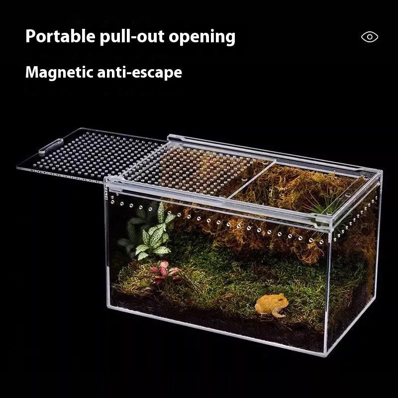 Transparent acrylic reptile feeding box showing ventilation design and clear PC construction