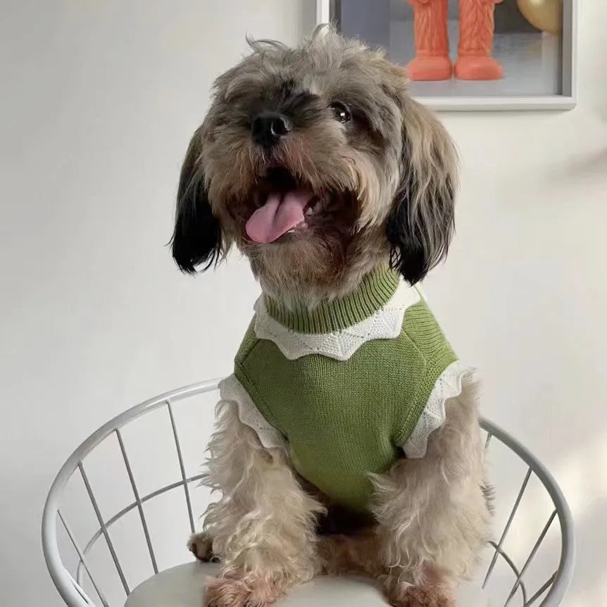 Green flower blossom pattern knitted sweater on a small dog, showing size and style.