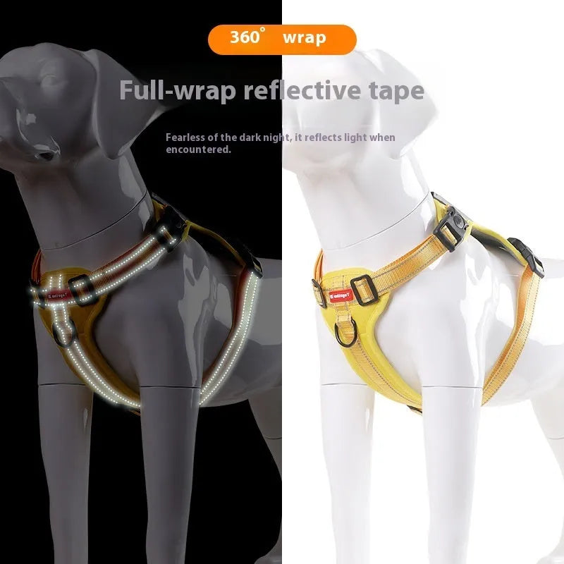 Polyester dog harness lead with a chest strap shown in multiple colours on a neutral background.