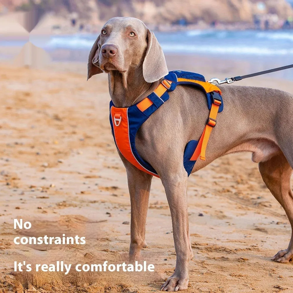 Orange blue nylon dog chest strap vest style with hand rope attachment for walking control