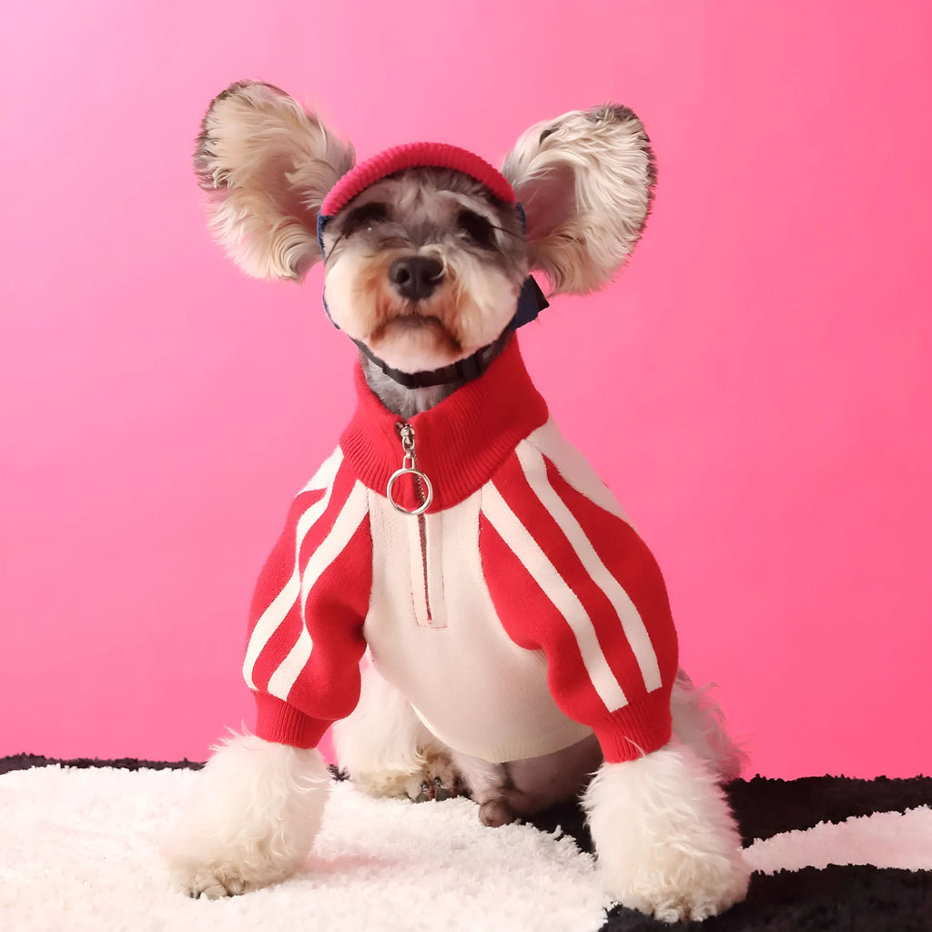 Men's dog sports sweater cardigan in wool for puppies, available in dark green or red