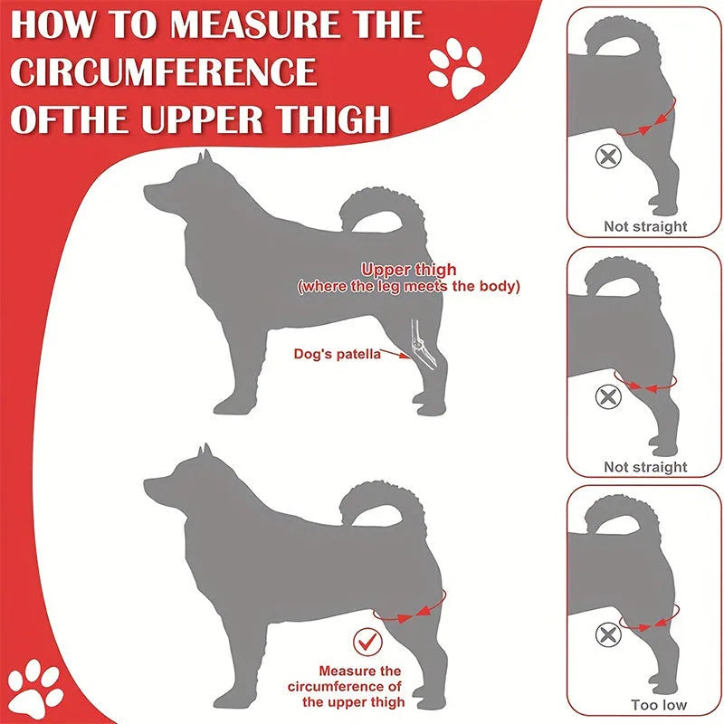 Pet knee pad for dog joint injury recovery with adjustable belt on a light background, S to XL sizes available