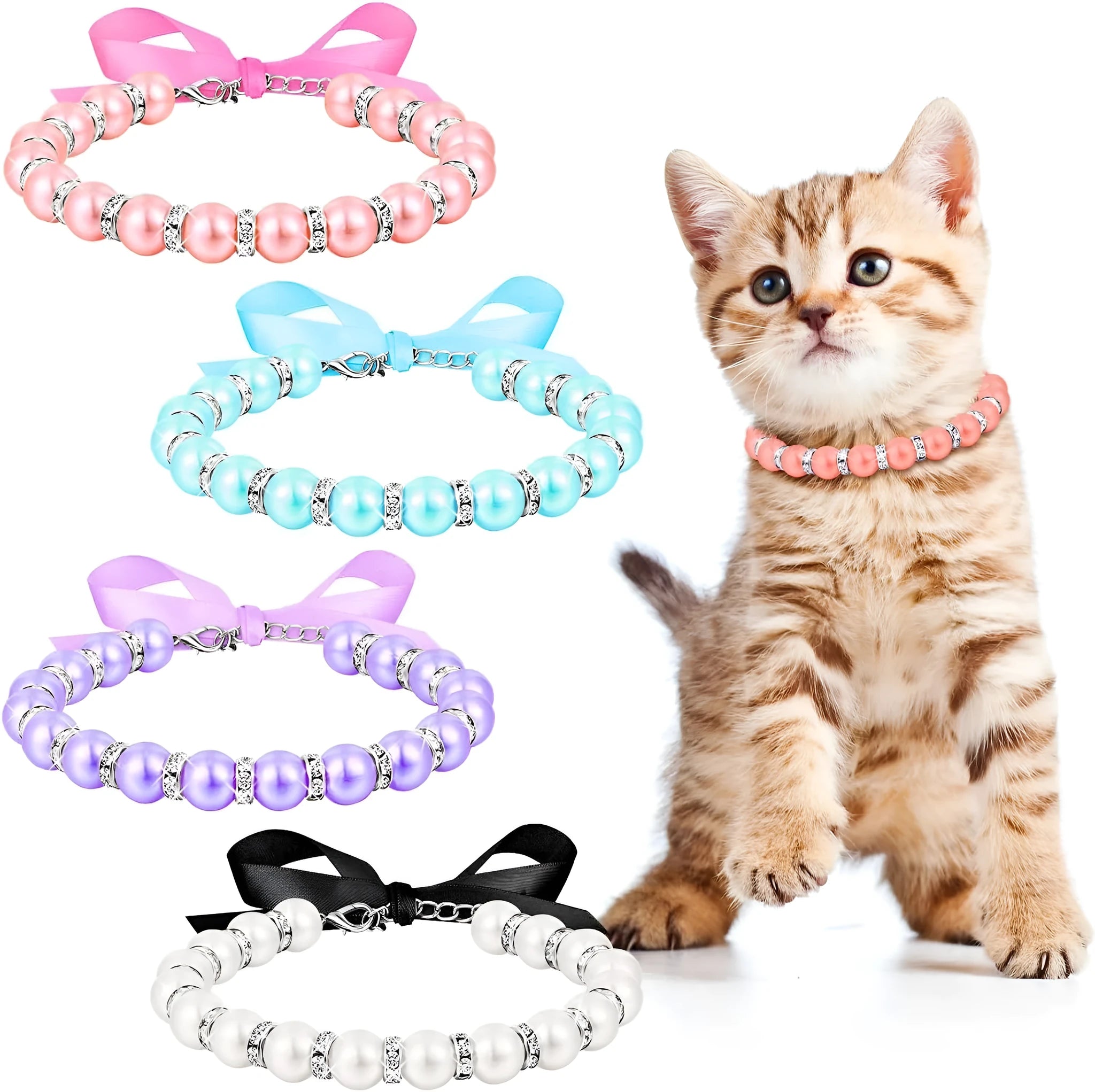 Small dog wearing a blue imitation pearl and rhinestone necklace with a ribbon bow.