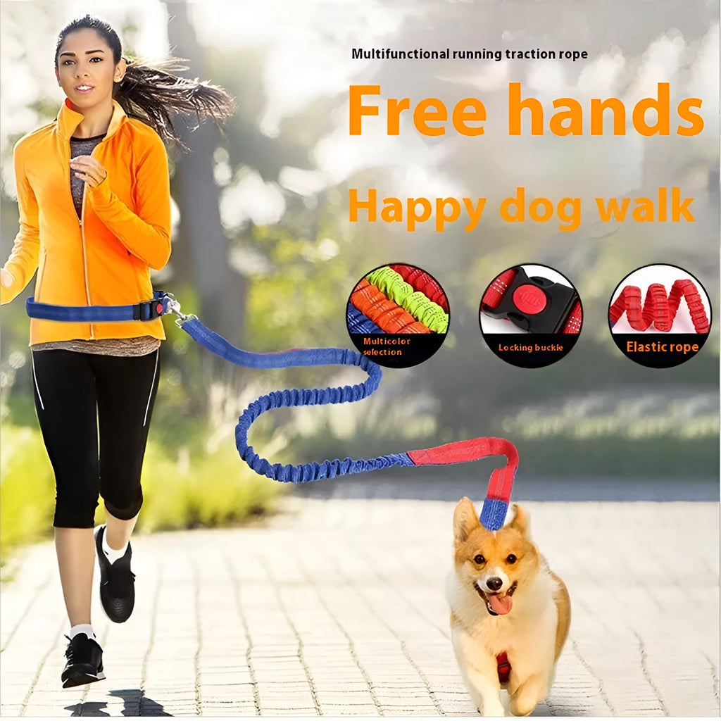 Outdoor running dog leash with reflective strip and elastic sling in a two-tone colour combination.