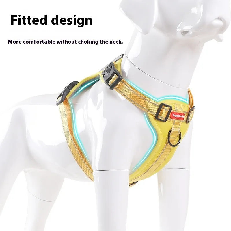 Polyester dog harness lead with a chest strap shown in multiple colours on a neutral background.