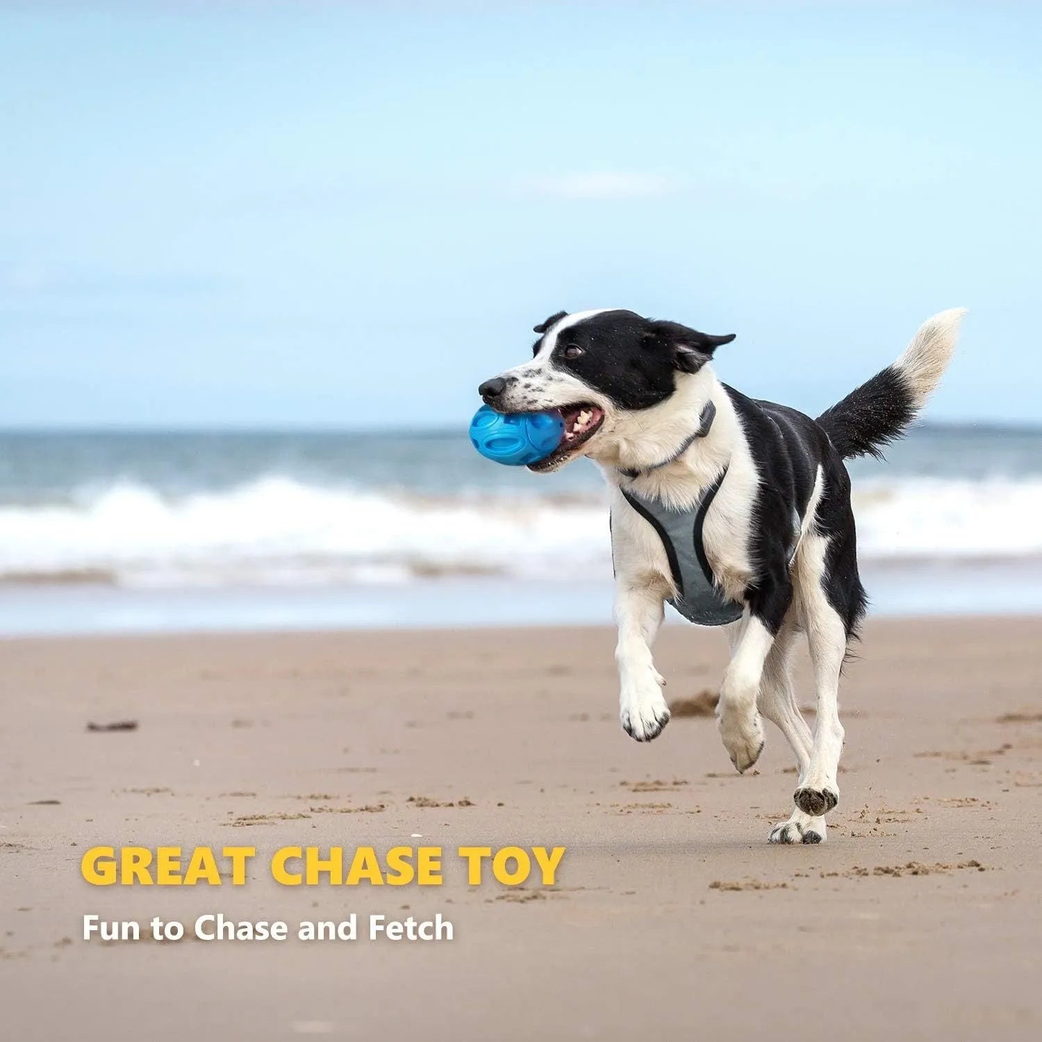 Blue green orange squeaky rubber chew toy for medium large breed dogs with aggressive chewing habits