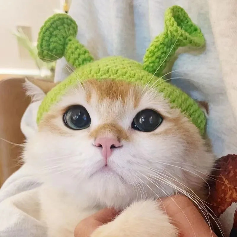Handmade knitted green acrylic hat for small cat or dog, average size, casual style
