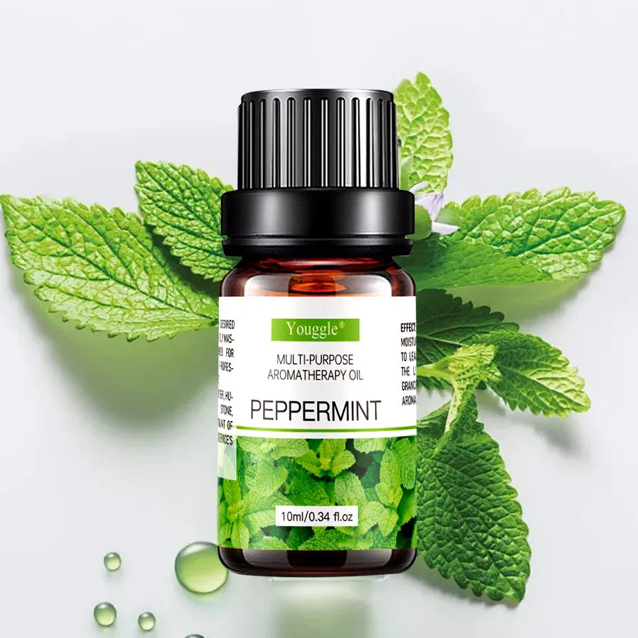 10ml bottle of mint essential oil for humidifier aromatherapy