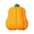 Orange pumpkin design plastic dog toy with rope attachment for long throws