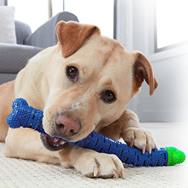 Blue green silicone dog molar tooth cleaner brushing stick with textured brush head and nodules