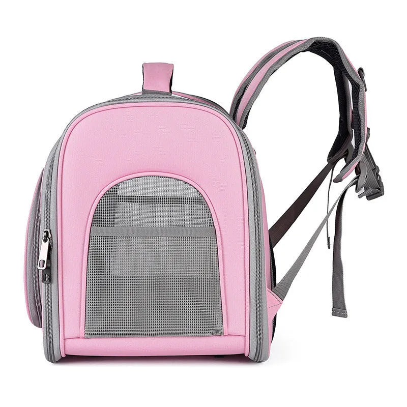 Portable transparent hard shell pet bag in blue, 35L capacity, polyester build for cats and dogs
